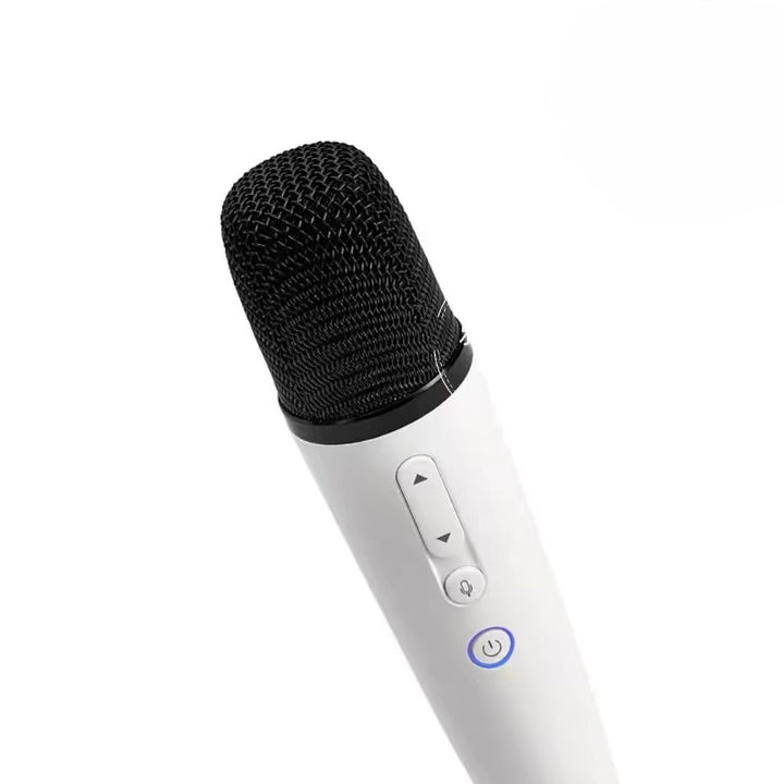 Wireless Microphone